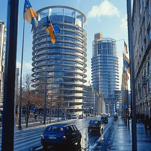 河南大学贾露露简介